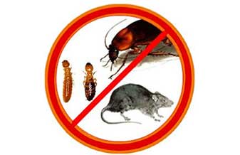 Gaspragas Dedetizadora e Desentupidora - Foto 1