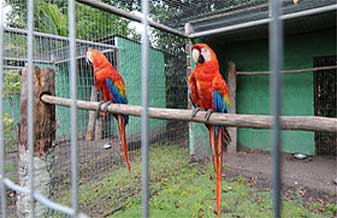 Casa Lavrador - Foto 1