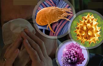 Centro Vida Especialidades Médicas - Foto 1