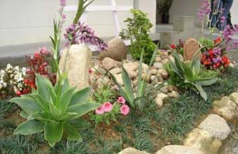 Jardinagem Antônio Arbit - Foto 1