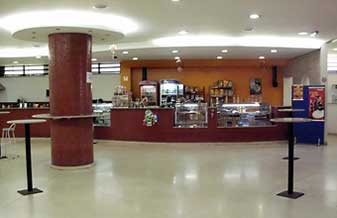 Lanchonete Pinguim - Foto 1