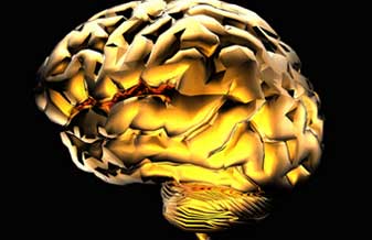 Hiroyuki Lote Taquegami - Foto 1