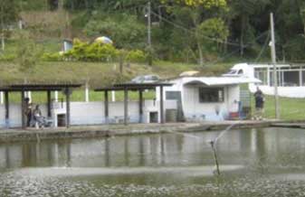 Pesque e Pague Recanto da Ilha - Foto 1