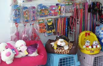 Pet Com-Pet Shop - Foto 1
