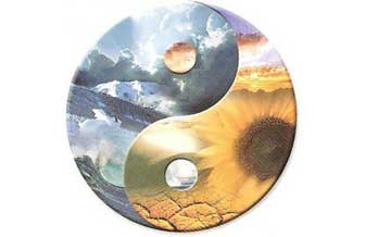 Magda P. da Silva - Foto 1