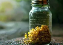 binário entre Jaraguá Esquerdo e Barra do Rio Molha