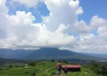 servidores do samae de imbituba