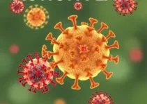 Comitê Intersetorial de Combate às Arboviroses