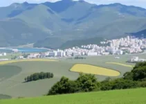 município oficializa intenção de parceria