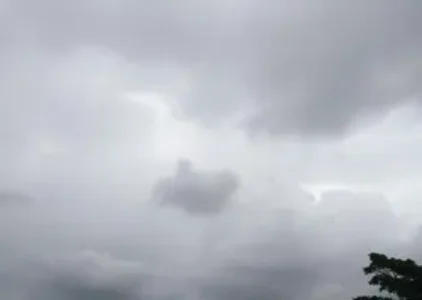 Últimas noticias de Jaraguá do Sul