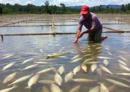 Últimas noticias de Jaraguá do Sul