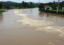 Jaraguá do Sul