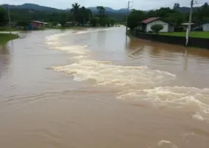 Últimas noticias de Jaraguá do Sul