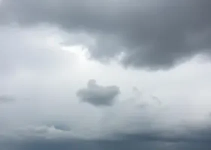 Últimas noticias de Jaraguá do Sul