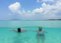imersão gratuita em IA