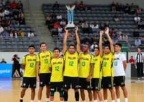 Liga Santa Catarina de Handebol