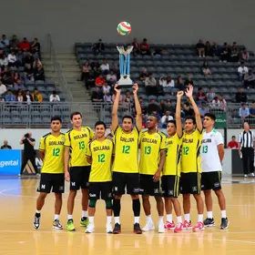 Liga Santa Catarina de Handebol
