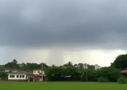 Últimas noticias de Jaraguá do Sul