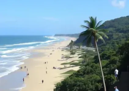 Últimas noticias de Jaraguá do Sul
