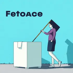 fiscalização da propaganda eleitoral