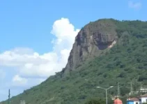 eleitorado Jaraguá do Sul